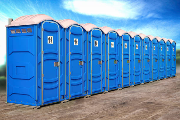 Types of Portable Toilets We Offer in Snohomish, WA